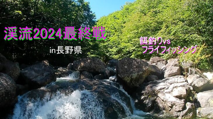 渓流２０２４最終戦！　フライフィッシングは餌釣りに勝てるのか！？