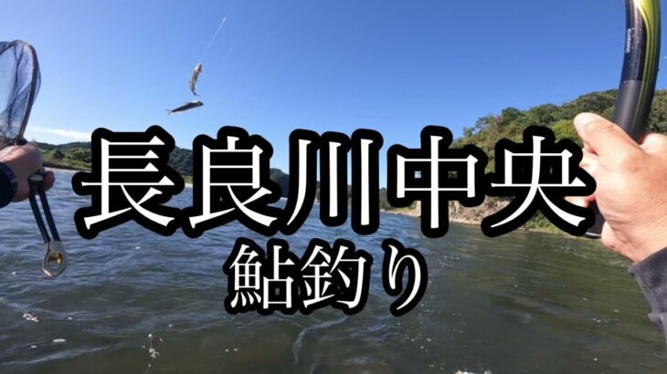 長良川中央　鮎釣り　鮎の瀬　笠神