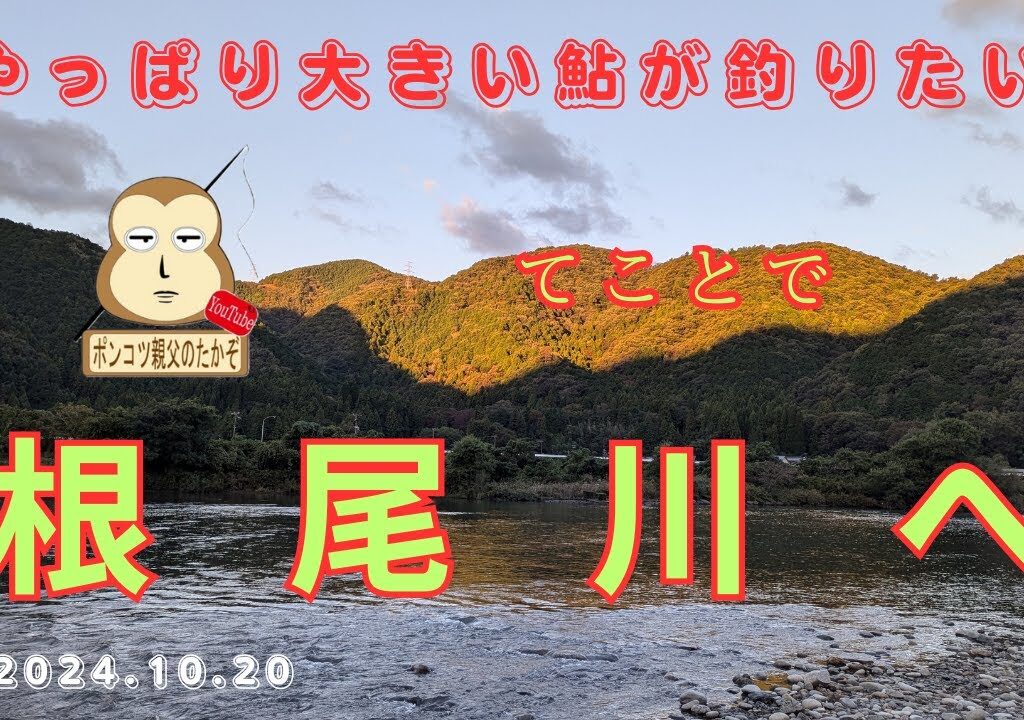 「鮎釣り」　やはり大きい鮎が釣りたくて根尾川へ