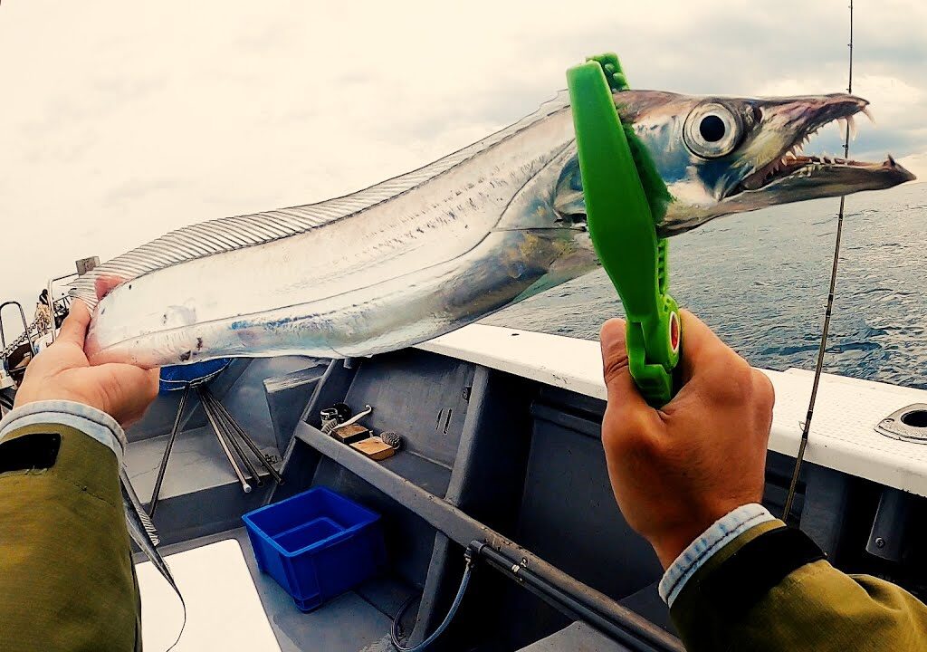 地獄のような状況でも釣れるジグがすごい【電動ジギング/浜名湖沖】