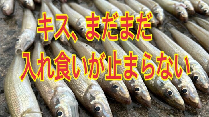 ★★キスまだまだ入れ食い中★★