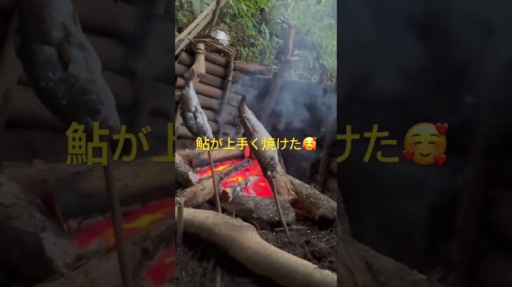 鮎の塩焼き最高👍