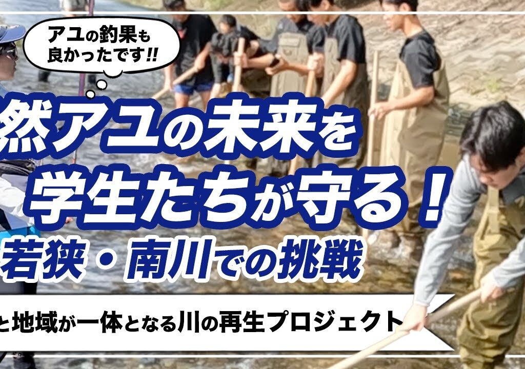 天然アユの未来を学生たちが守る！若狭・南川での挑戦 〜学びと地域が一体となる川の再生プロジェクト〜