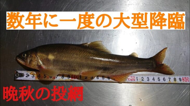 晩秋の投網　最後に夜の釣果発表