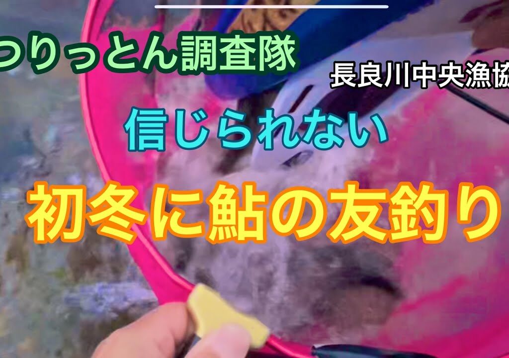 初冬に鮎の友釣りは、成立するのか？