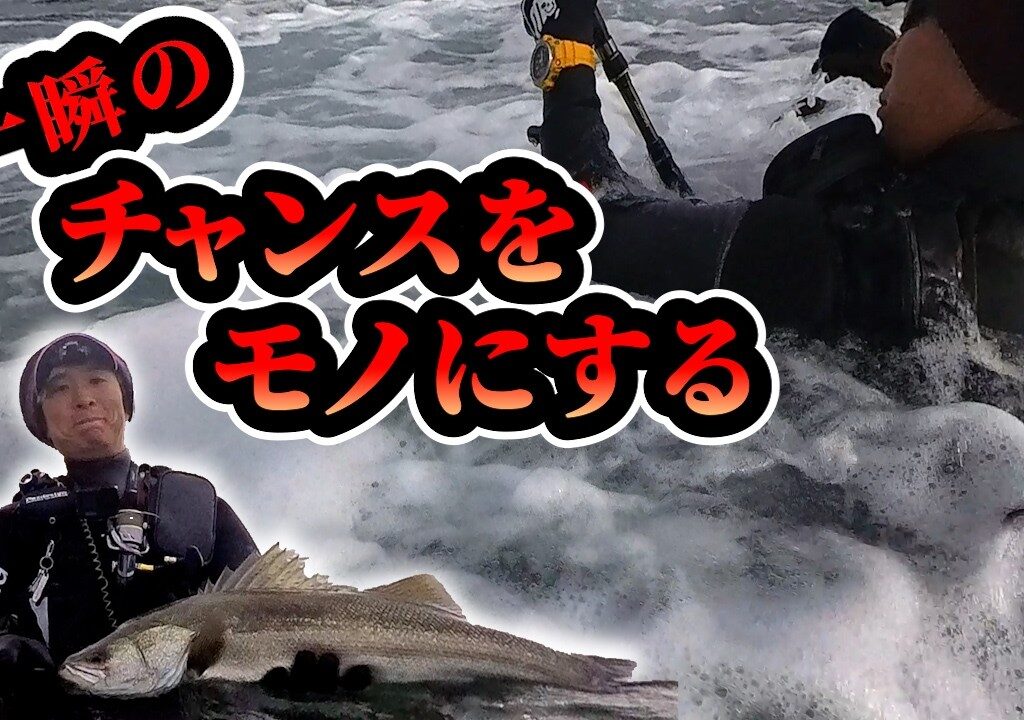 【シーバス】真昼間にサラシから出た良型！※捌いて調理あり