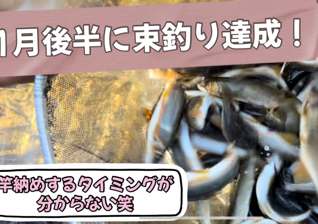 まだまだ鮎釣り楽しんでます♪