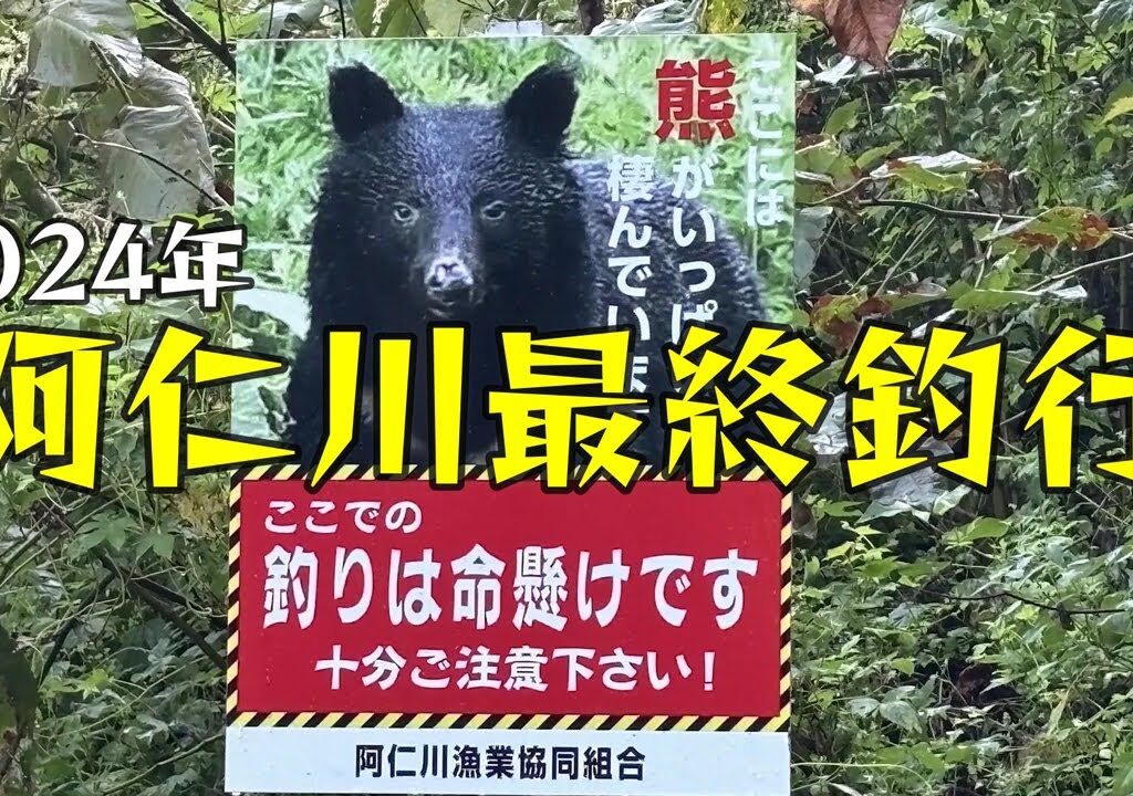 【鮎釣り】今年最後も阿仁河川公園で釣ってみた。