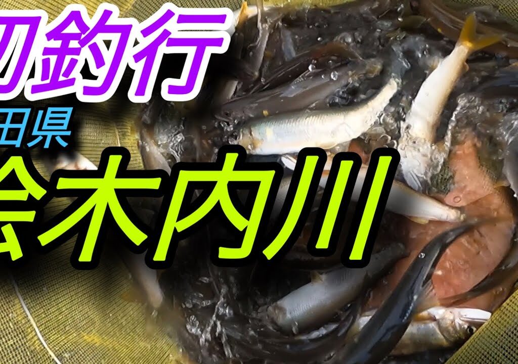 初釣行　秋田県桧木内川