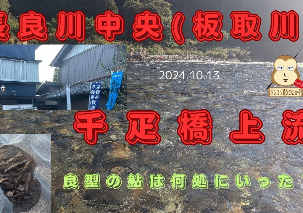 「鮎釣り」「終盤」　長良川中央管内の板取川から長良川下流の千疋橋へ