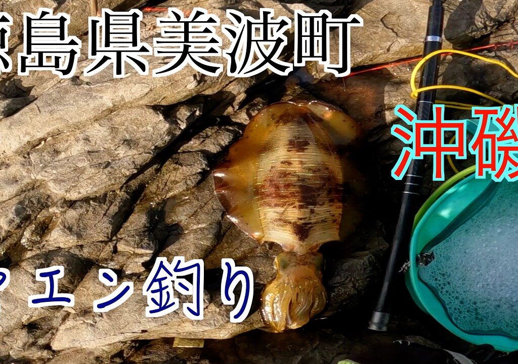 11月24日お笑いヤエン大会２と25日釣行【ヤエン釣り】【自作ヤエン】【沖磯】