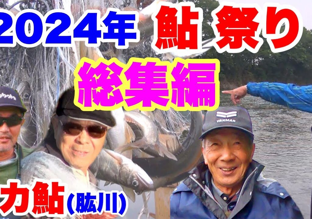 【2024年鮎祭り総集編】川漁師・デカ鮎・鵜・サギ 肱川総力戦！～愛媛県大洲市～