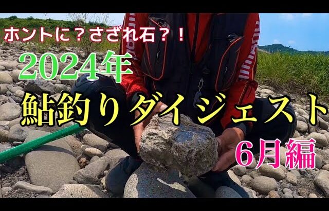 【鮎釣り】2024年鮎釣りを振り返る　6月編