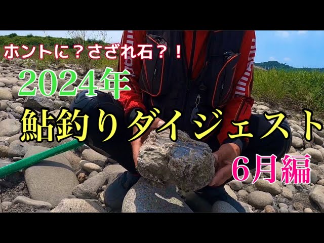 【鮎釣り】2024年鮎釣りを振り返る　6月編