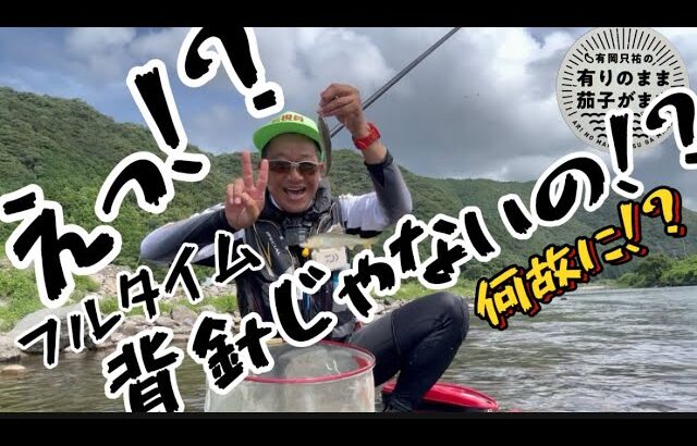 【鮎釣り】2024/7/27 この時期はクソ暑いから