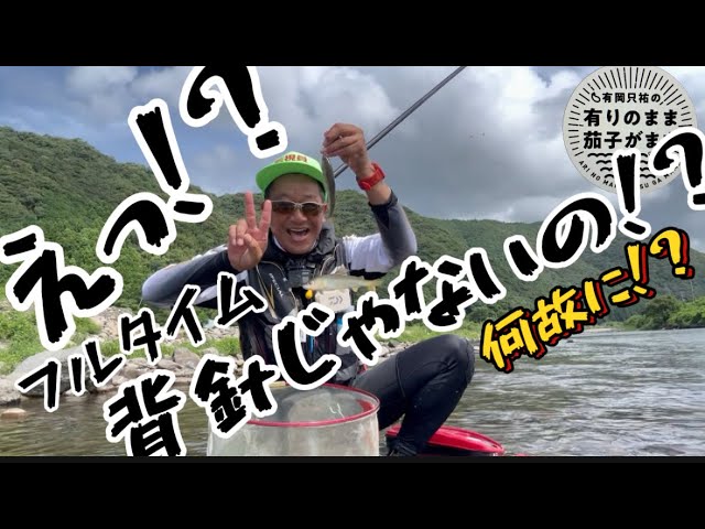 【鮎釣り】2024/7/27 この時期はクソ暑いから