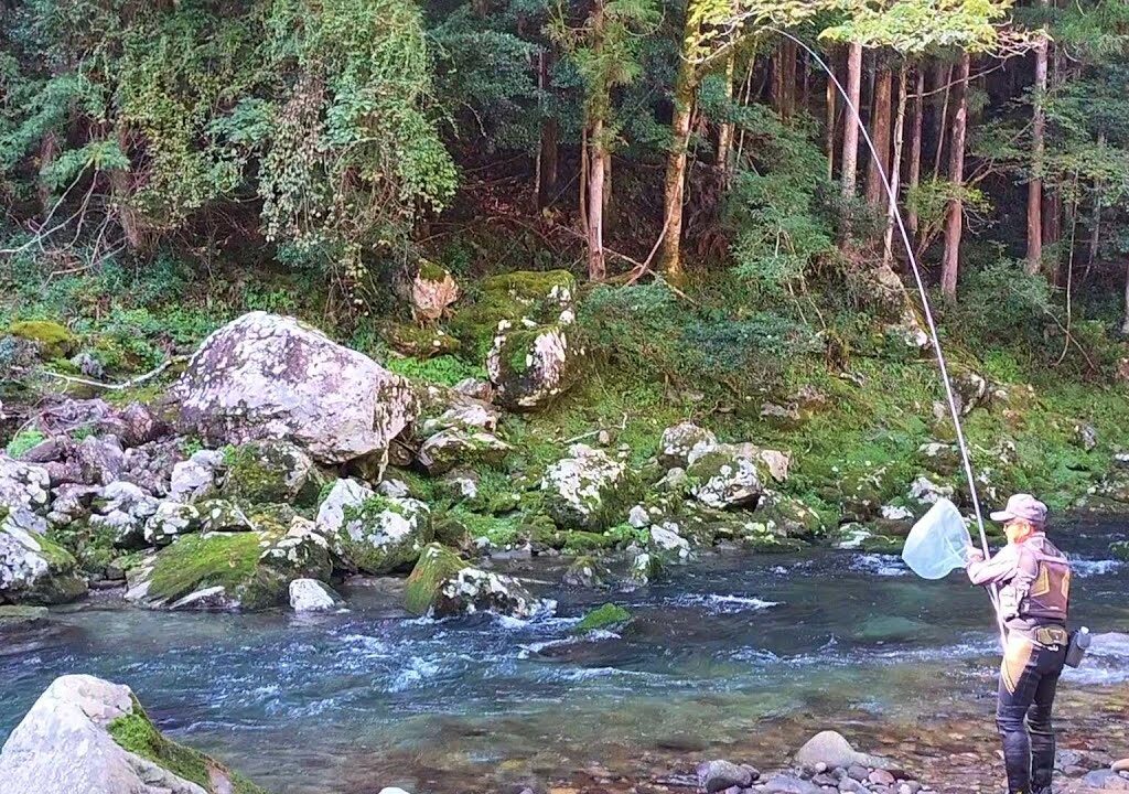 鮎釣り2025　釣れる目印の動きを作り出す／和歌山県古座川【スペシャルエアロドライバー】