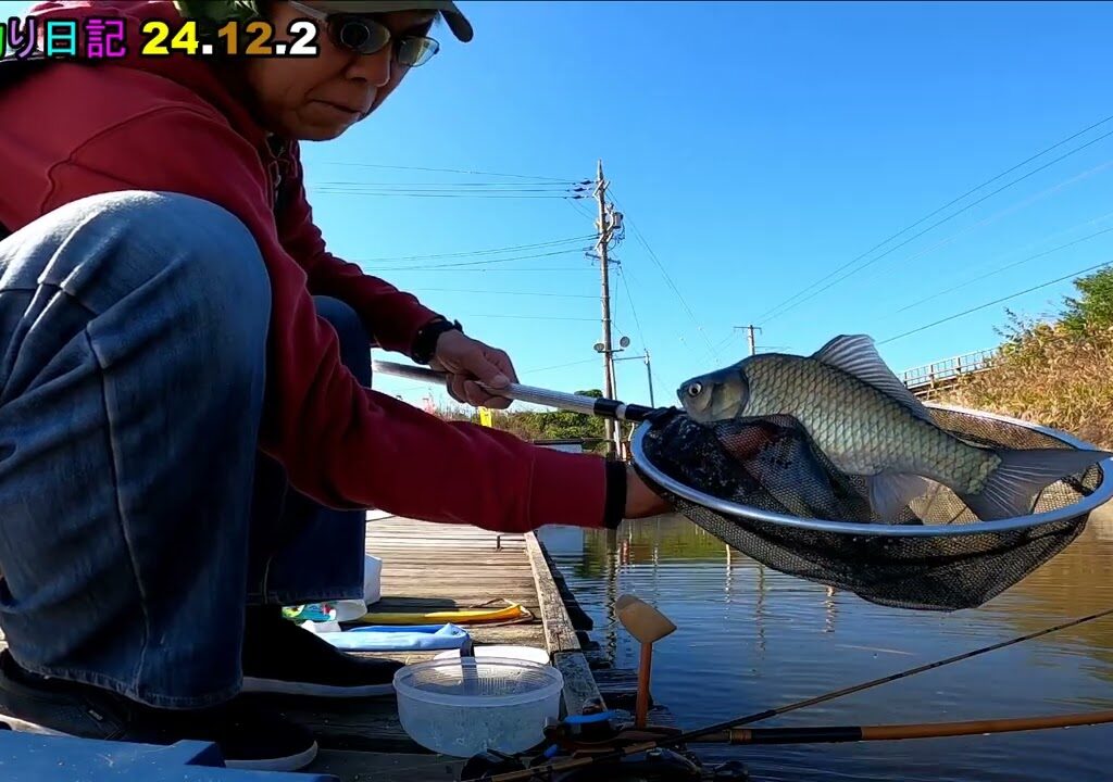 へら釣り日記 24 12 2