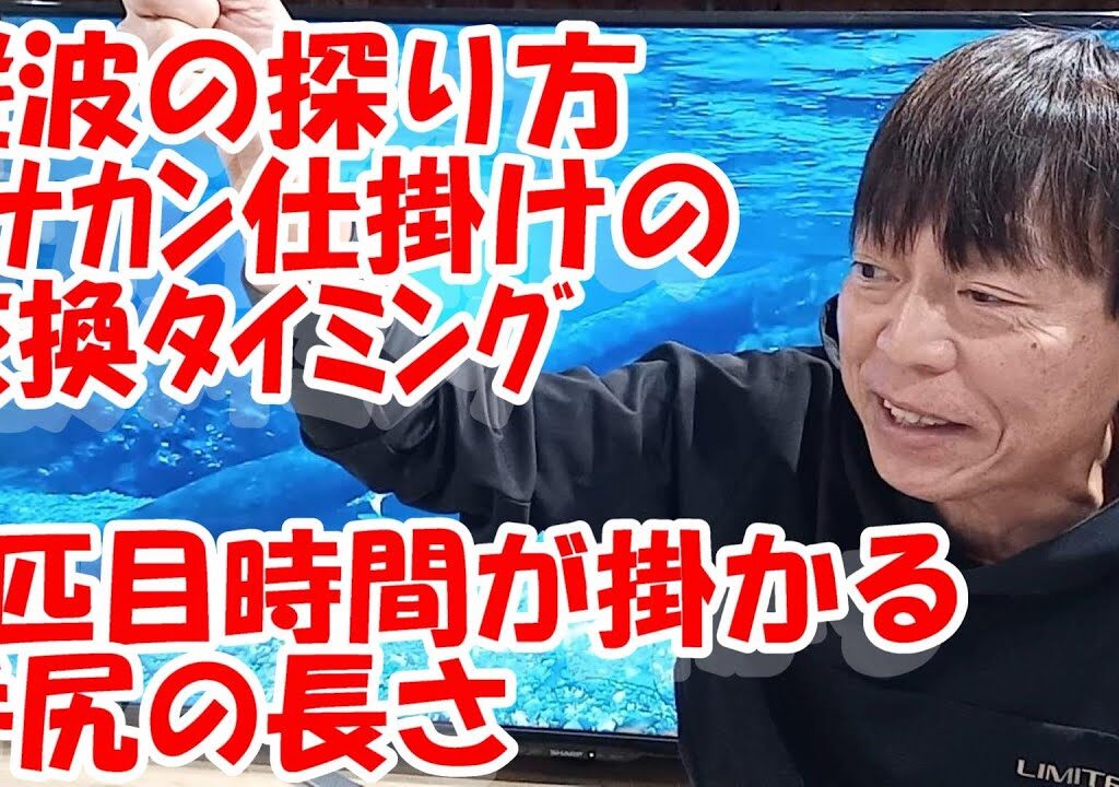 鮎釣り A-5 2024年12月30日 質問はこちらから  https://youtu.be/8yRHBYkqfmk
