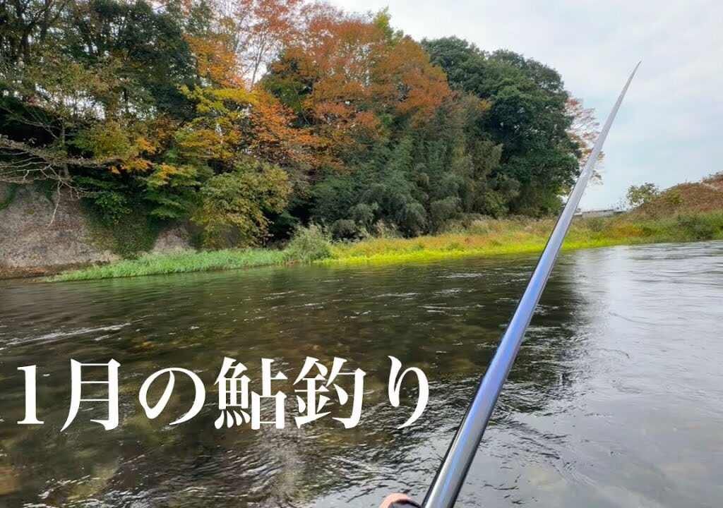 那珂川支流で紅葉を見ながらの鮎釣り