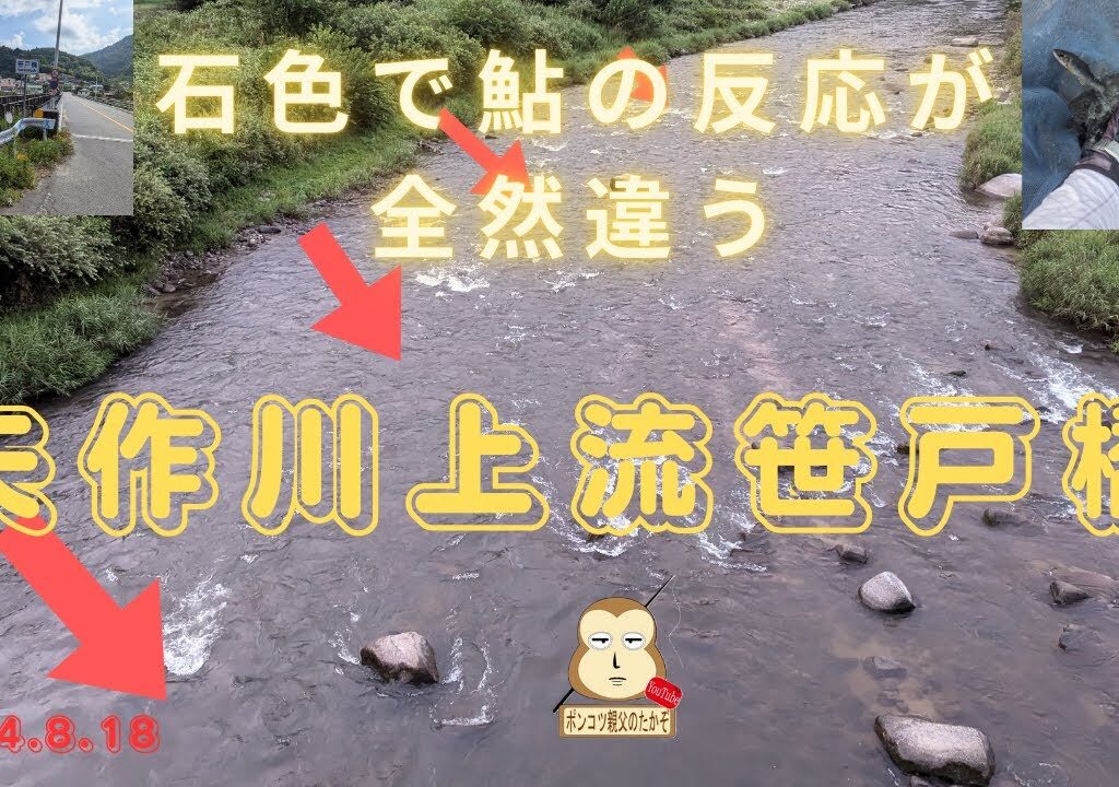 「鮎釣り」「入れ掛かり」石の色で鮎の反応が全然違う！！