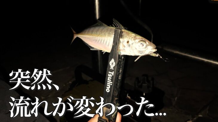初めての浜名湖アジングで奇跡が起こりました
