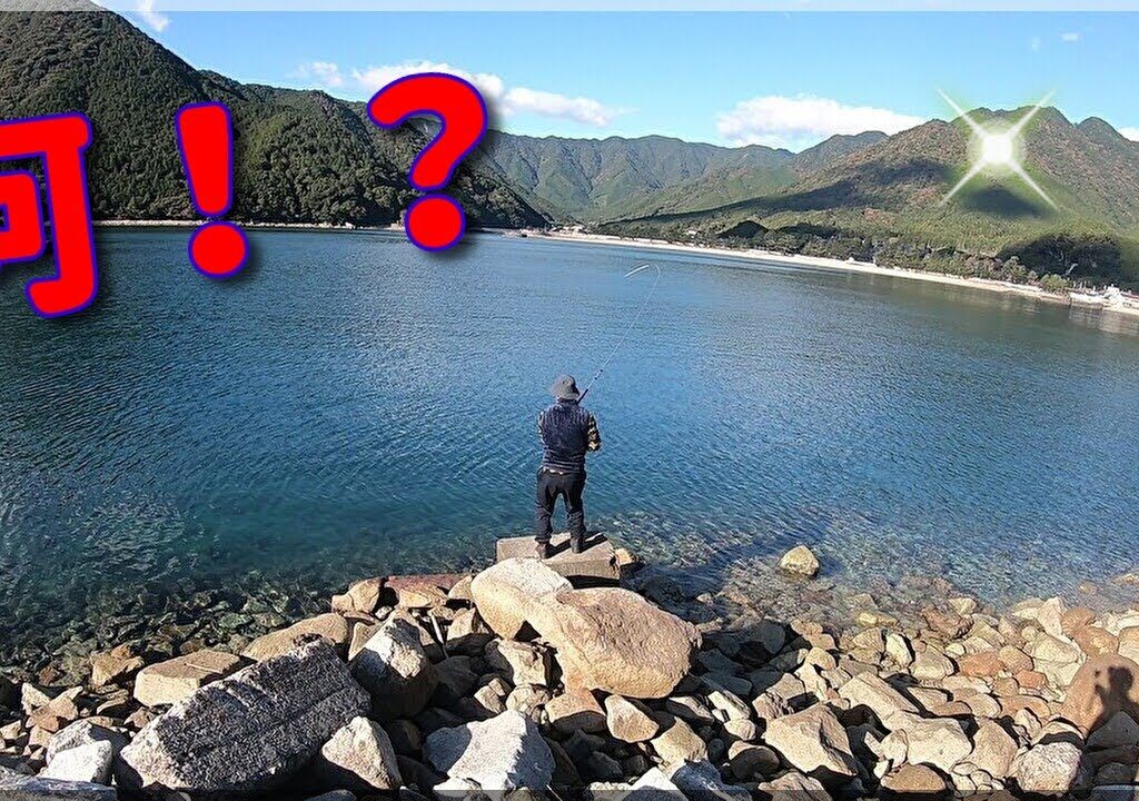 波止場でのんびりと紀州釣り　２４．１１．３０