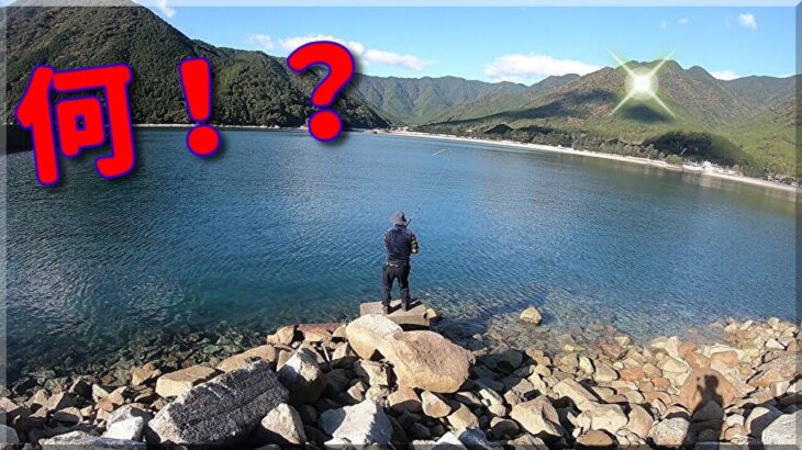 波止場でのんびりと紀州釣り　２４．１１．３０