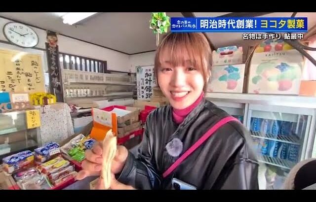 【恋乃葉の恋するバス散歩】広電バス「三段峡線」第四弾　地元の名物“鮎最中”がうまくてエモい！安芸太田