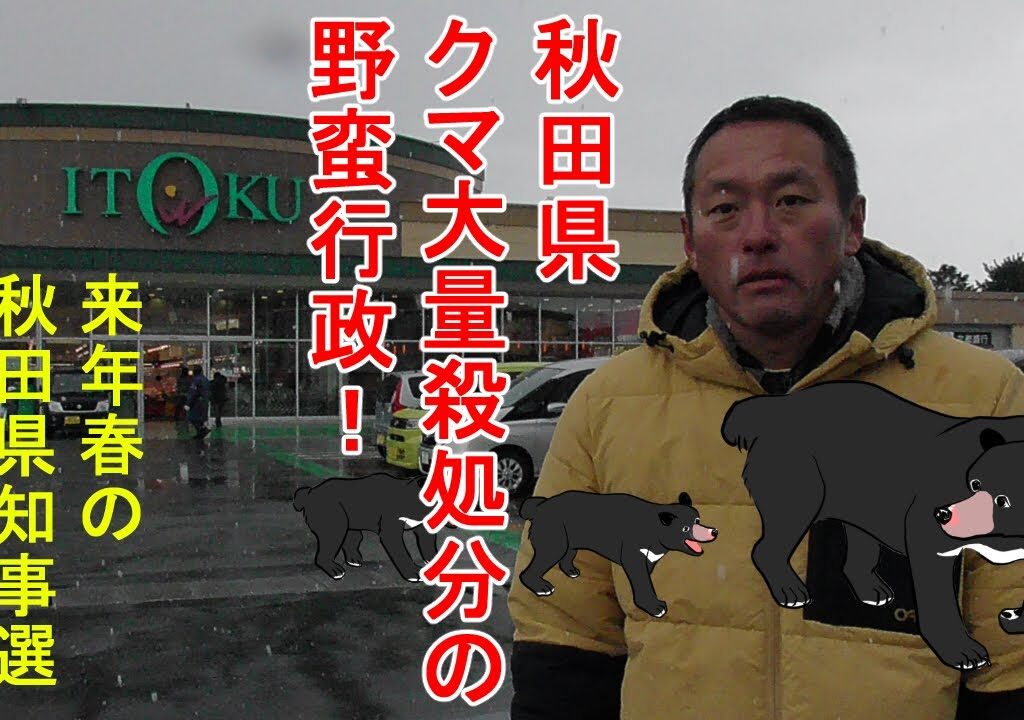 秋田県クマが店内に入ったスーパーイトクから秋田県知事選に出馬します宣言