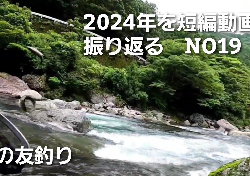 鮎の友釣り2024年を短編動画で振り返る NO19【6月25日いきなり良型鮎が♪…】