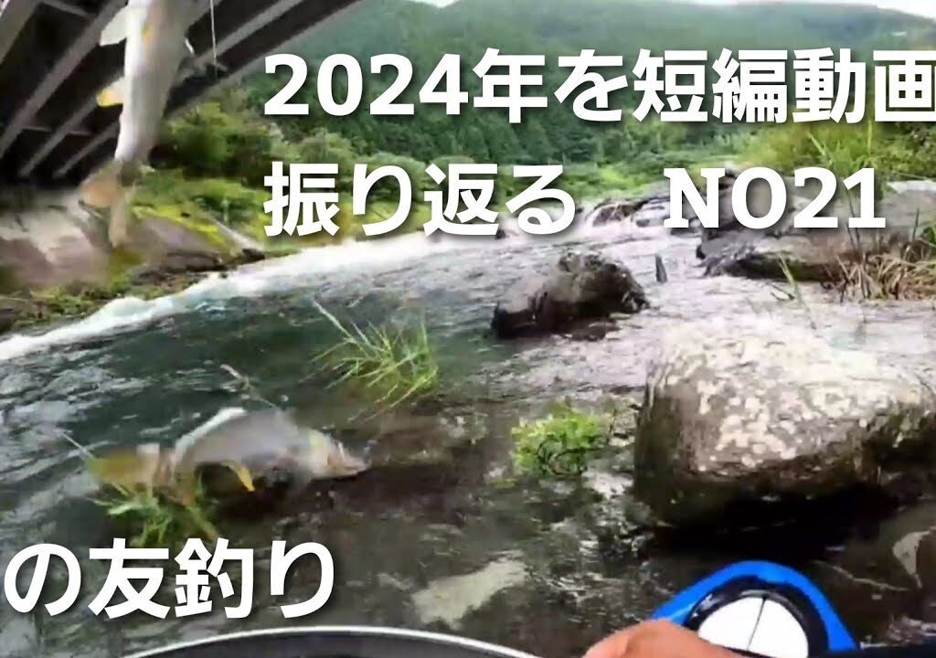 鮎の友釣り2024年を短編動画で振り返る NO21【6月30日 橋の下は究極の竿抜けポイントだ！】