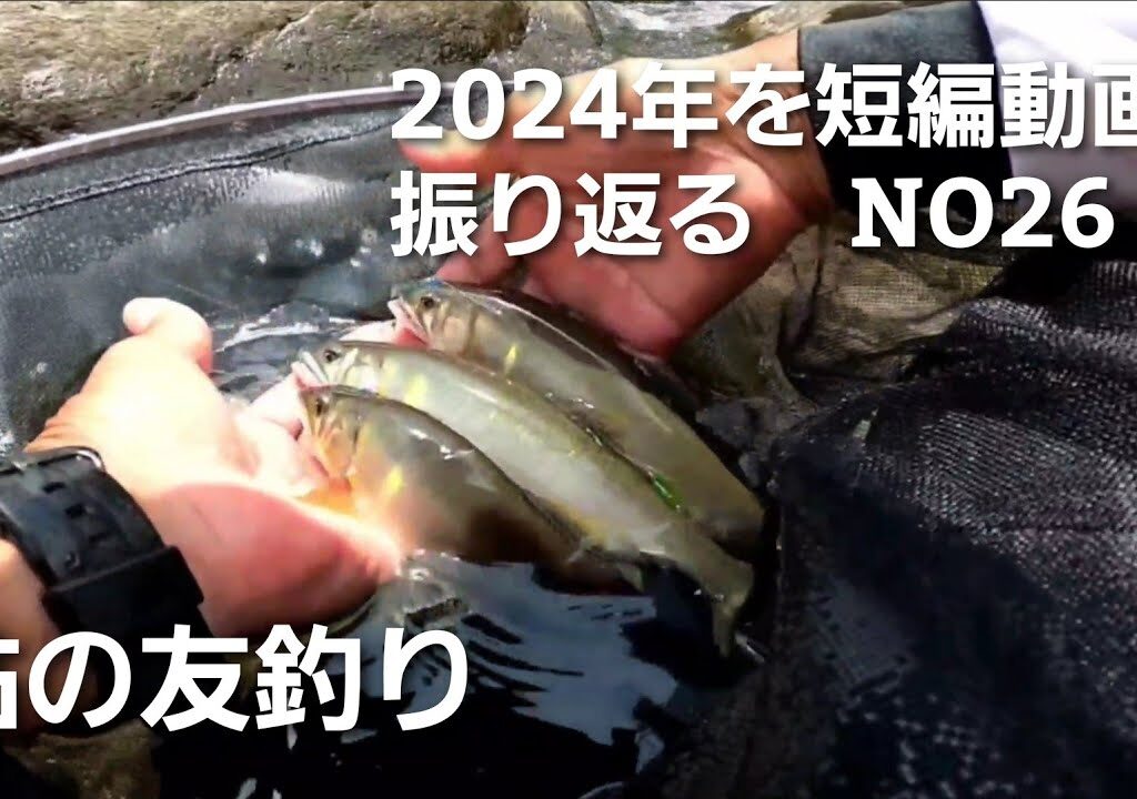 鮎の友釣り2024年を短編動画で振り返る NO26【7月17日 ダンダン瀬で拾い釣り！2本ヤナギが絶好調でした】