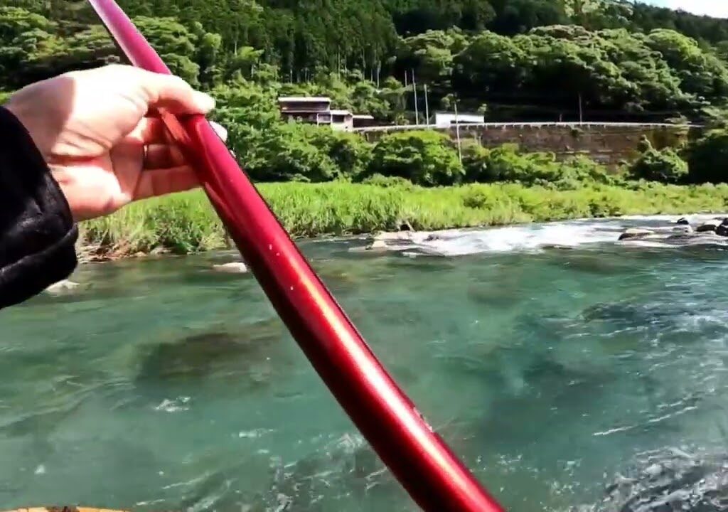鮎の友釣り2024年を短編動画で振り返る【6月1日解禁の日】