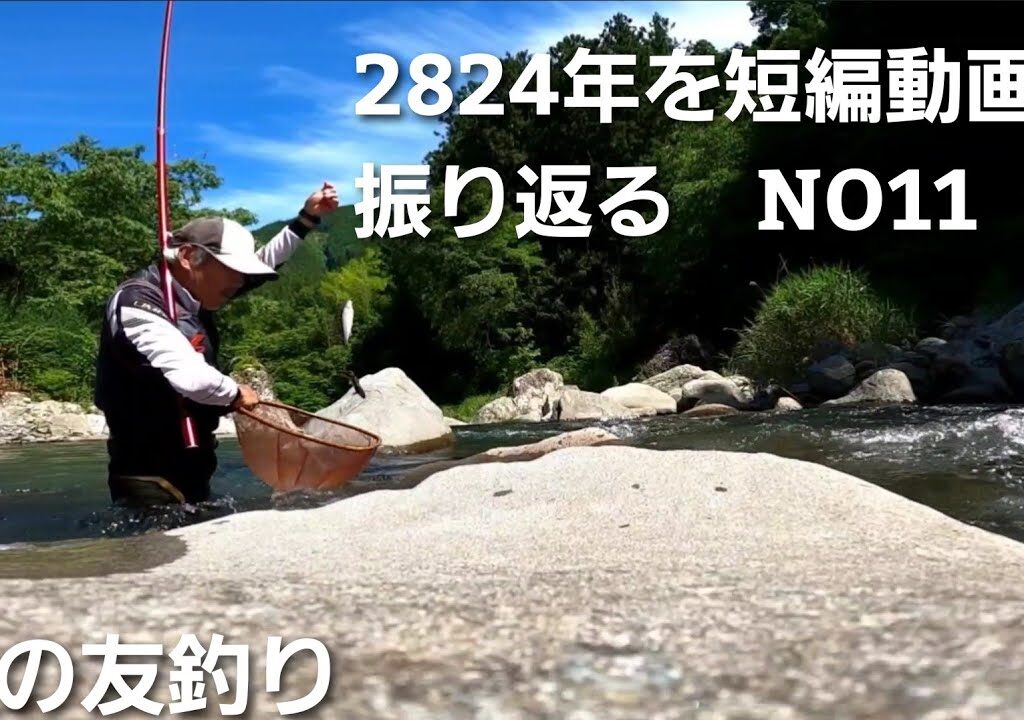 鮎の友釣り2024年を短編動画で振り返るNO11【6月12日午後の部 上流域で釣ってみた】＊ここだけの話ですが今シーズンこの時期は上流域に良型アユがいます♪