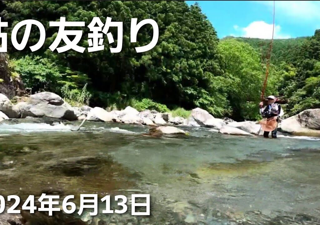 鮎の友釣り2024年を短編動画で振り返るNO12【6月13日渓流域で釣ってみた】＊この時期にしては良型アユがいました♪