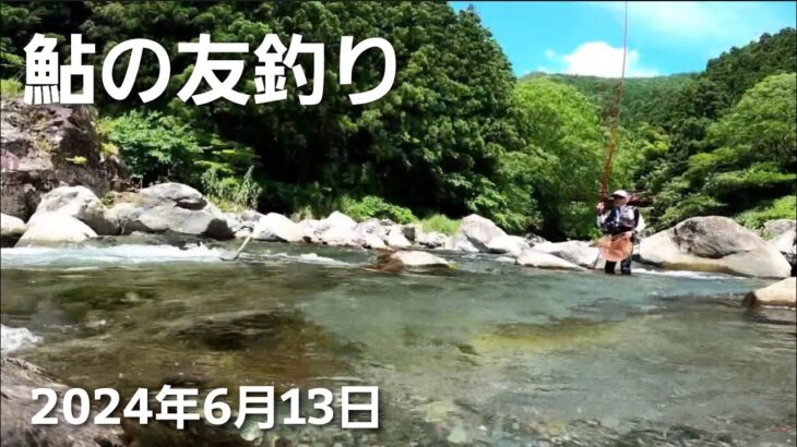 鮎の友釣り2024年を短編動画で振り返るNO12【6月13日渓流域で釣ってみた】＊この時期にしては良型アユがいました♪