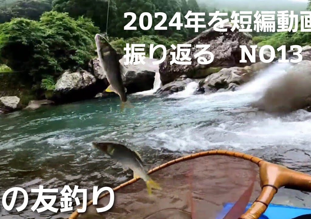 鮎の友釣り2024年を短編動画で振り返るNO13【6月15日渓流域で釣ってみた】＊この時期は上流域釣りに凝っていました。良型アユがいますよ♪