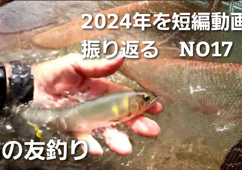 鮎の友釣り2024年を短編動画で振り返る　NO17【6月22日ダンダン瀬で拾い釣り】