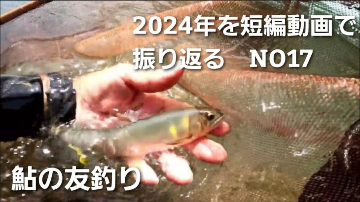 鮎の友釣り2024年を短編動画で振り返る　NO17【6月22日ダンダン瀬で拾い釣り】