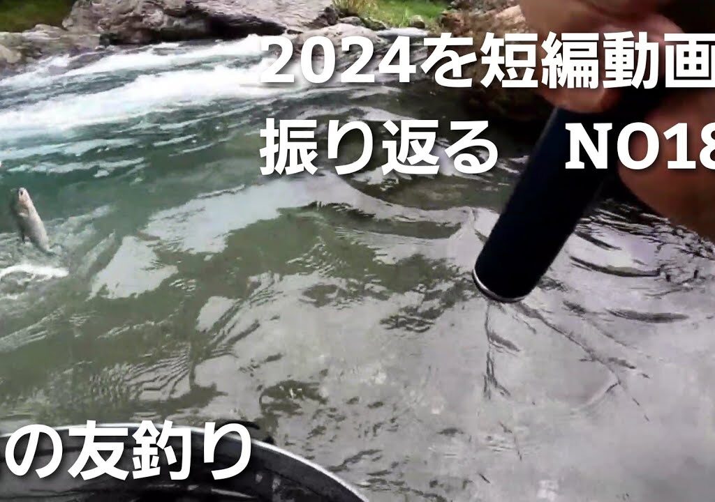 鮎の友釣り2024年を短編動画で振り返る　NO18【6月24日最後に入れ掛かりが待っていた♪】