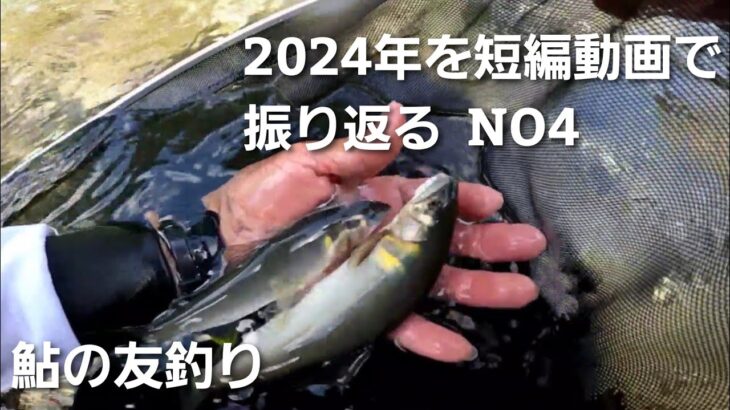 鮎釣り2024年を短編動画で振り返るNO4【6月3日午後の部 入れ掛かり】