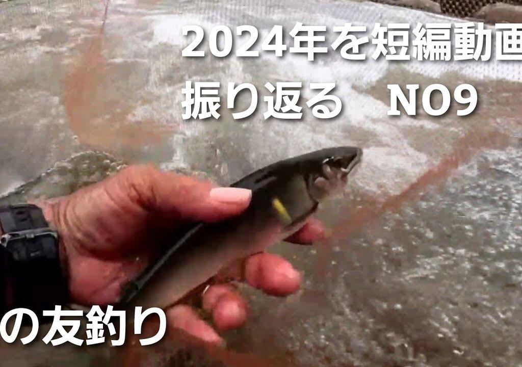 鮎の友釣り2024年を短編動画で振り返るNO9【6月10日増水後に上流域で釣ってみた】＊初期にしては良型サイズです♪