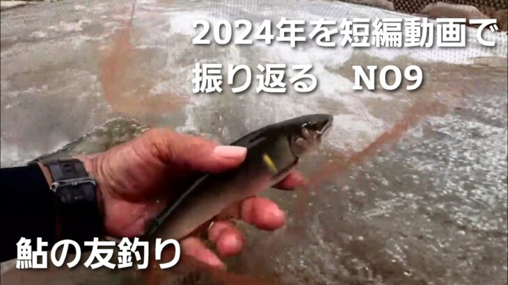 鮎の友釣り2024年を短編動画で振り返るNO9【6月10日増水後に上流域で釣ってみた】＊初期にしては良型サイズです♪