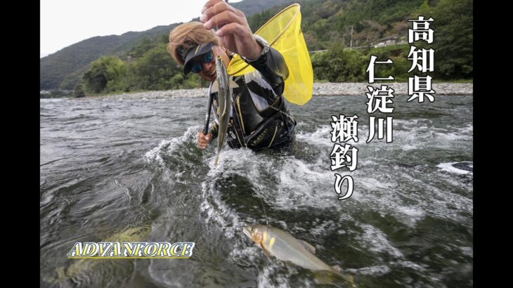 【2025鮎釣り】新シマノ アドバンフォースで仁淀川の瀬で大アユ釣り！