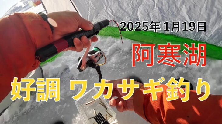 2025年1月19日　阿寒湖　好調　ワカサギ釣り