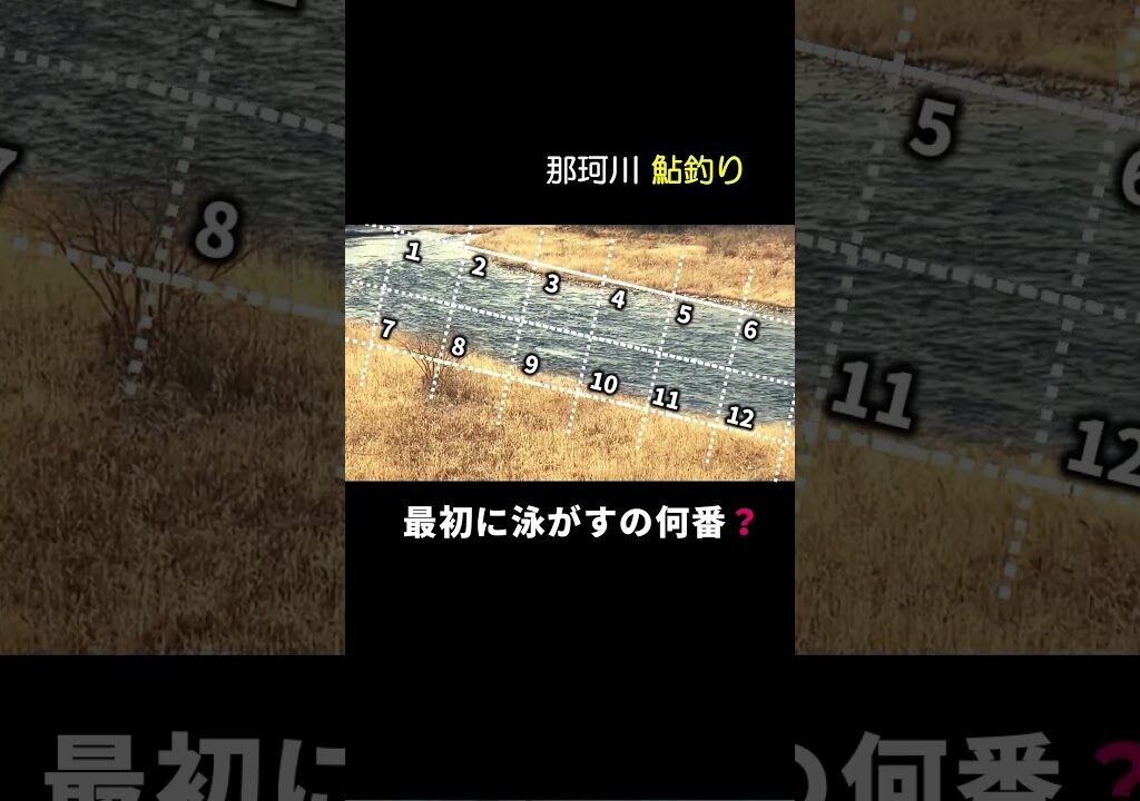 【鮎釣り】有名ポイントあなたの最初のポイントは？激戦区2025/1/5 #釣り #鮎釣り #鮎の友釣り #那珂川#shorts