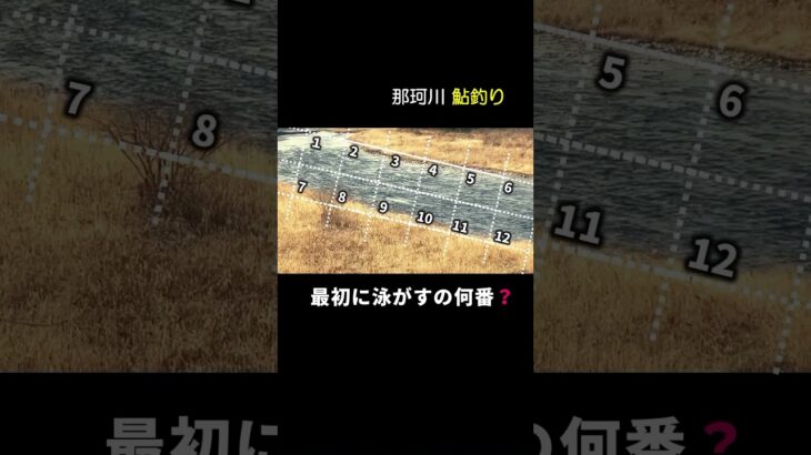 【鮎釣り】有名ポイントあなたの最初のポイントは？激戦区2025/1/5 #釣り #鮎釣り #鮎の友釣り #那珂川#shorts