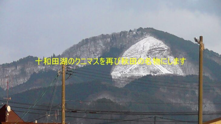 【2025年秋田県知事選出馬したい】4つの公約を発表します。