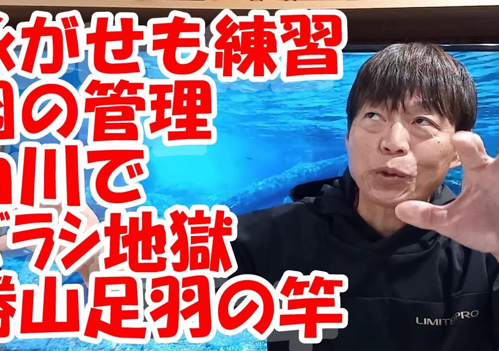 鮎釣り A-10 2025年1月5日 質問はこちらから  https://youtu.be/8yRHBYkqfmk